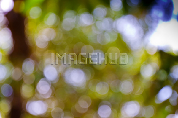 이미지 미리보기