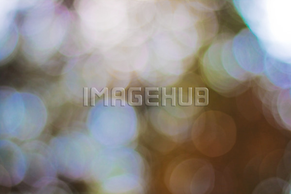 이미지 미리보기