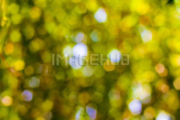 이미지 미리보기