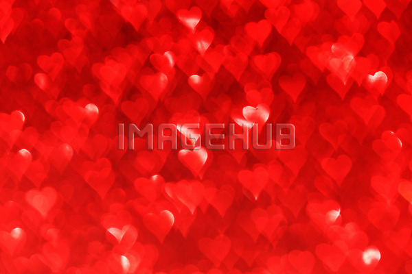 이미지 미리보기