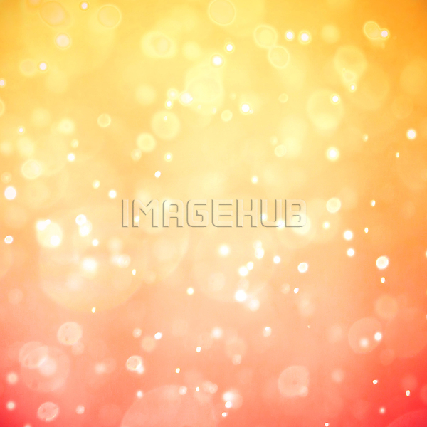 이미지 미리보기