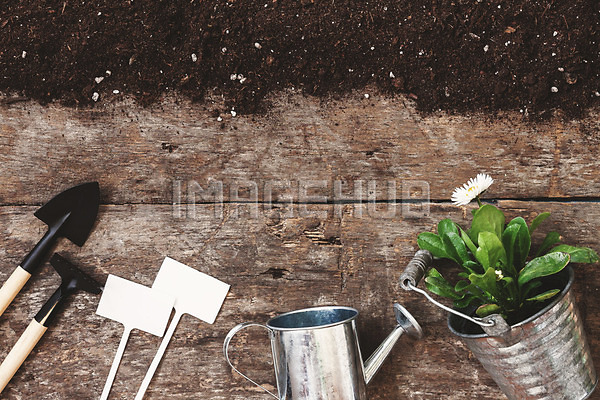 이미지 미리보기
