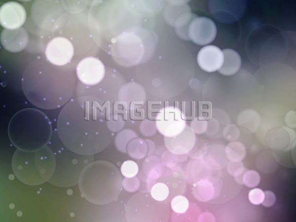 이미지 미리보기