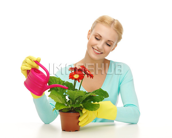 이미지 미리보기