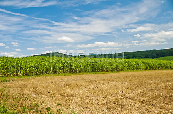 이미지 미리보기