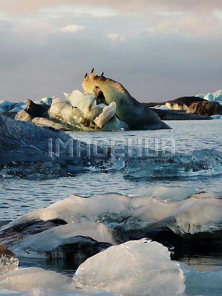 이미지 미리보기