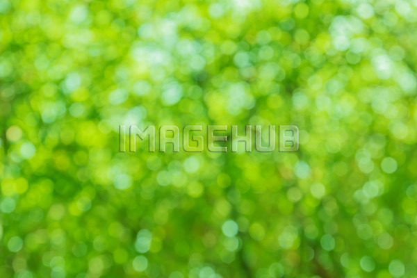 이미지 미리보기