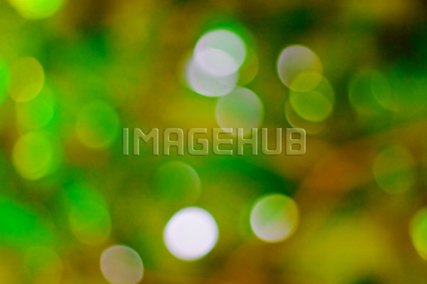 이미지 미리보기