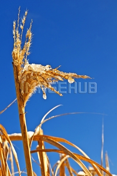 이미지 미리보기