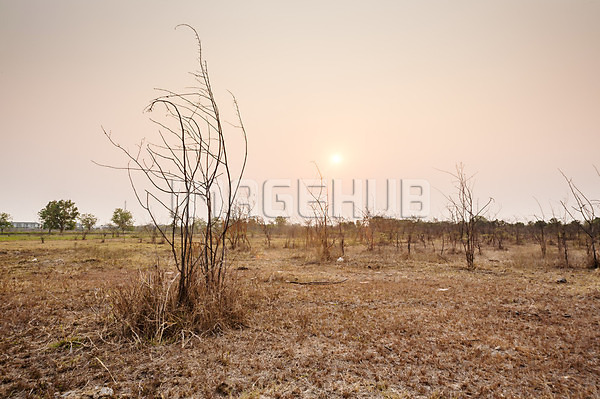이미지 미리보기