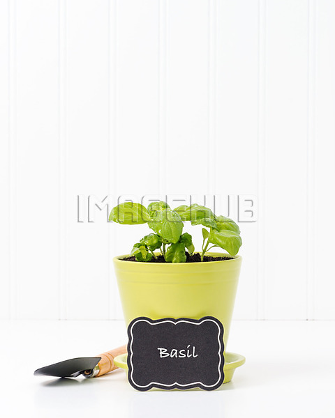 이미지 미리보기