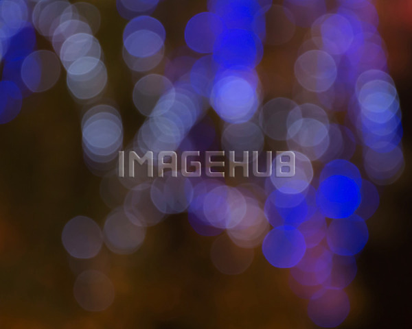 이미지 미리보기