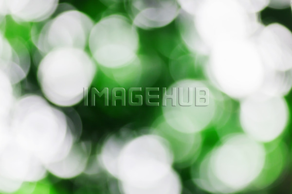 이미지 미리보기