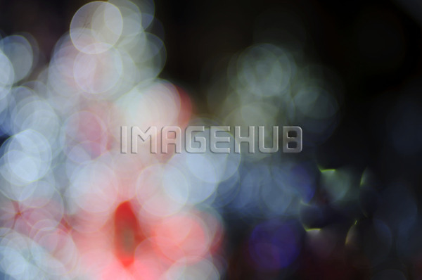 이미지 미리보기