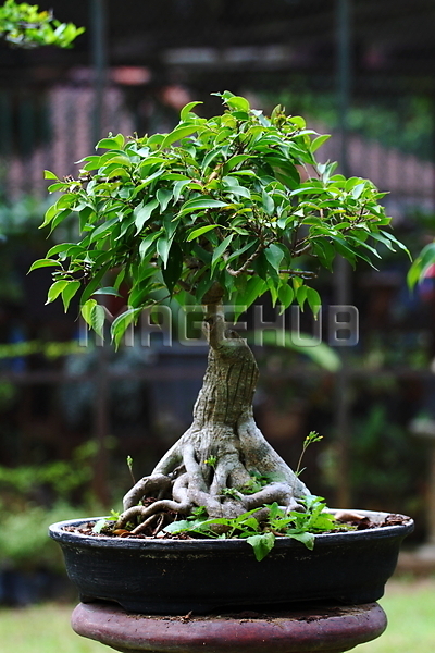 이미지 미리보기