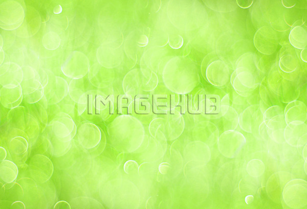 이미지 미리보기