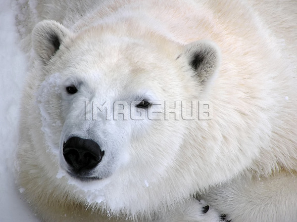 이미지 미리보기