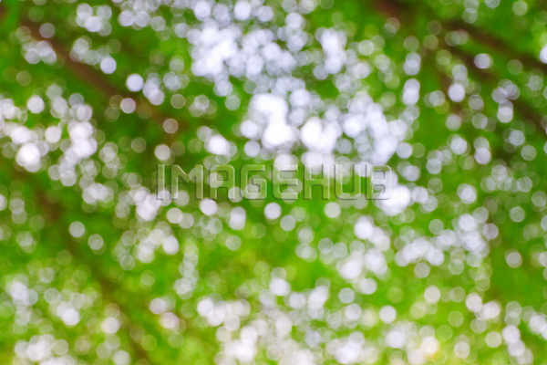 이미지 미리보기