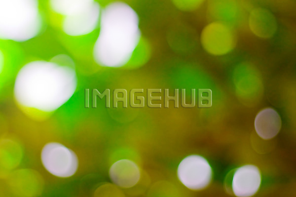 이미지 미리보기