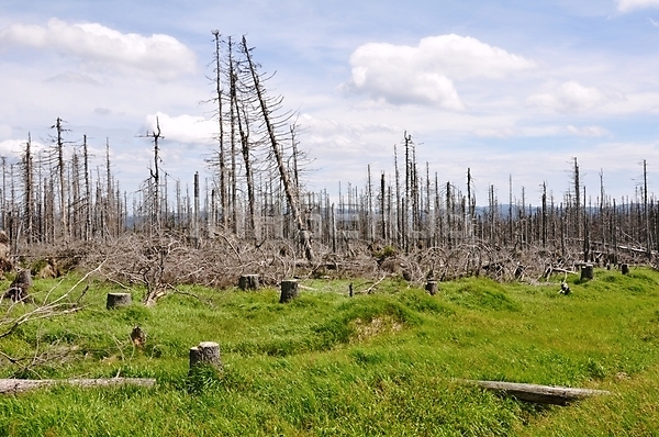이미지 미리보기