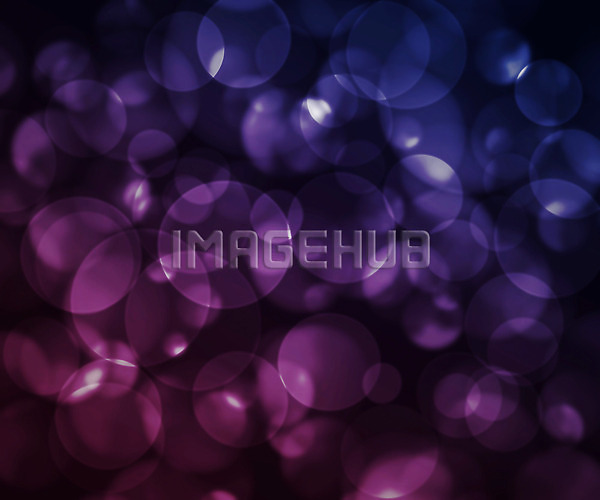 이미지 미리보기