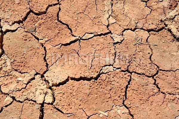 이미지 미리보기