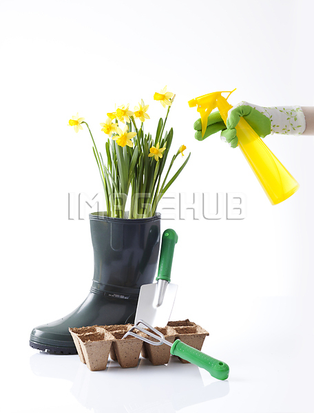 이미지 미리보기