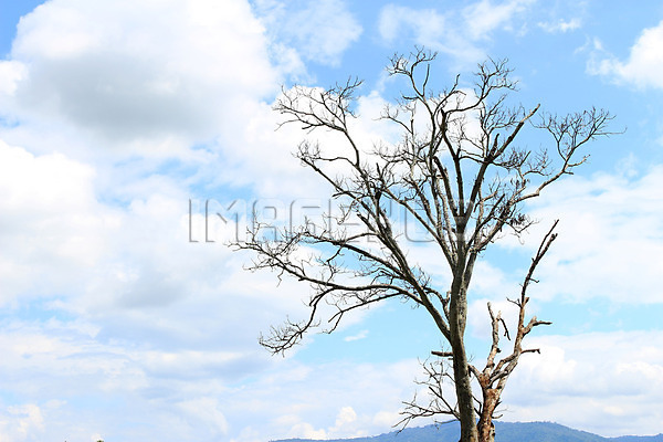 이미지 미리보기