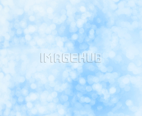 이미지 미리보기