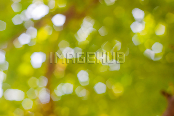 이미지 미리보기