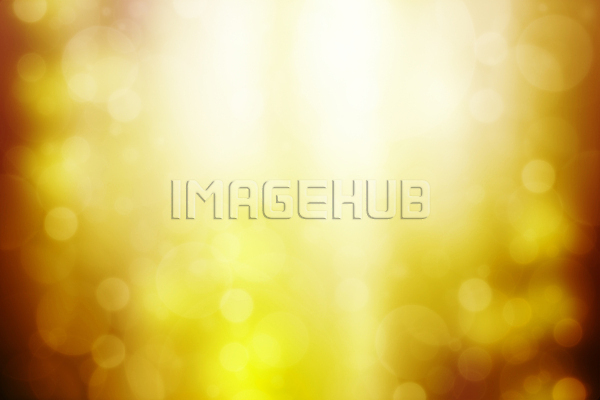 이미지 미리보기