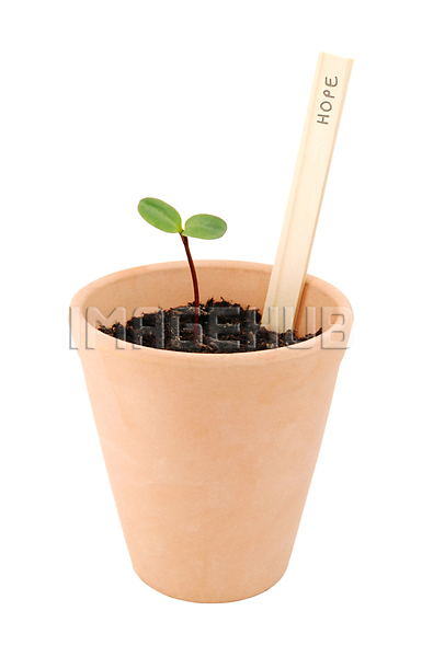 이미지 미리보기