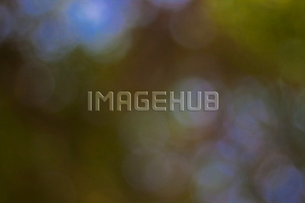 이미지 미리보기