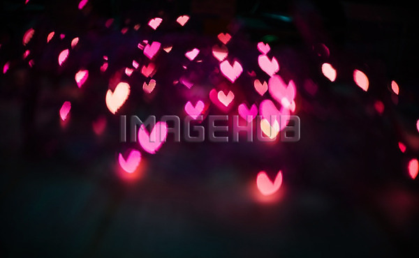 이미지 미리보기