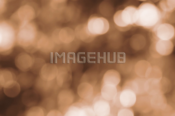 이미지 미리보기