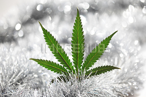 이미지 미리보기