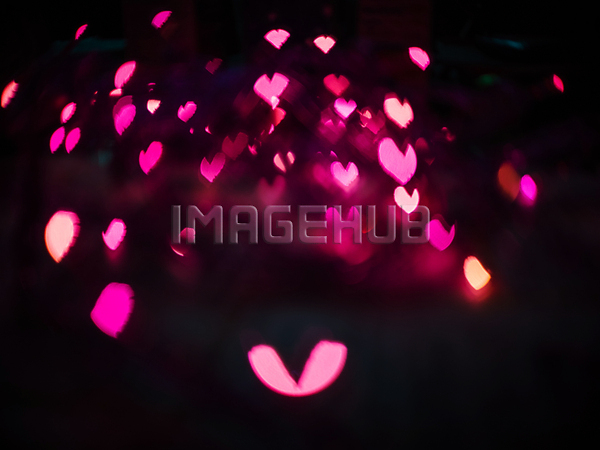 이미지 미리보기