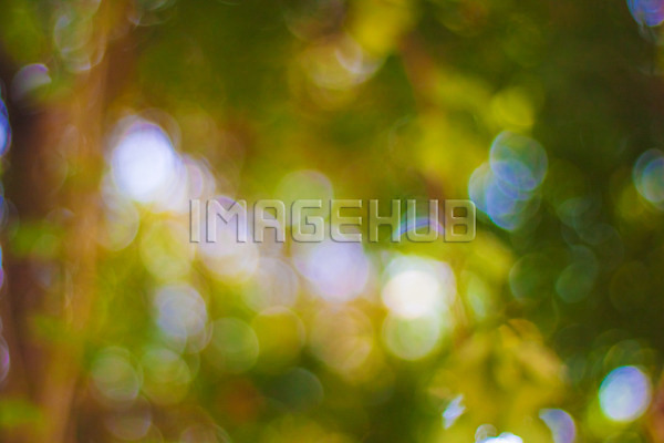 이미지 미리보기