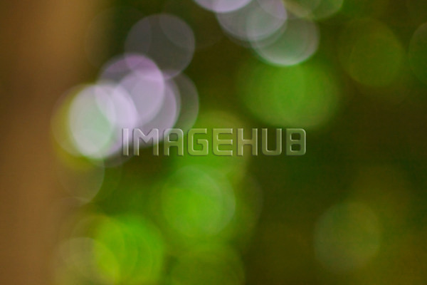 이미지 미리보기