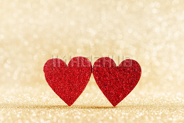 이미지 미리보기