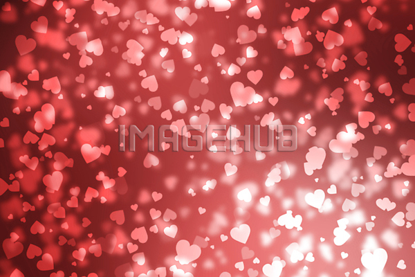 이미지 미리보기