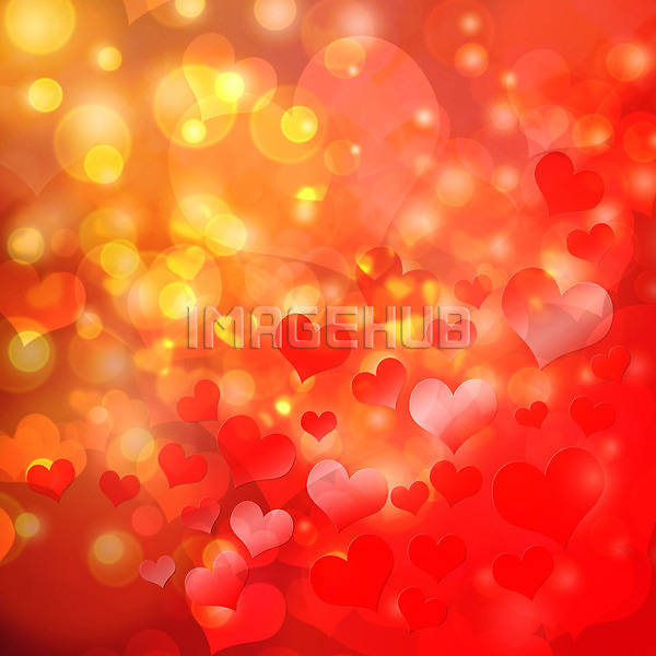 이미지 미리보기