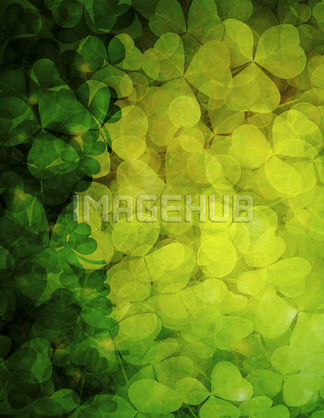 이미지 미리보기