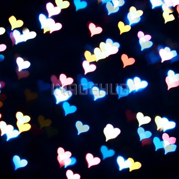 이미지 미리보기