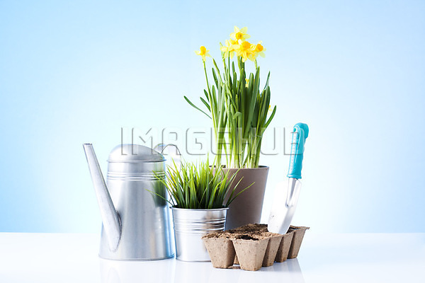 이미지 미리보기