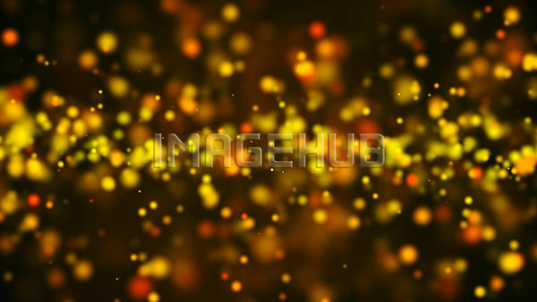 이미지 미리보기