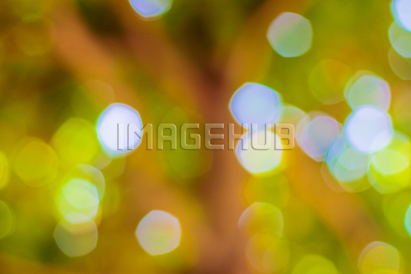 이미지 미리보기