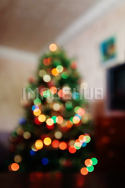 이미지 미리보기