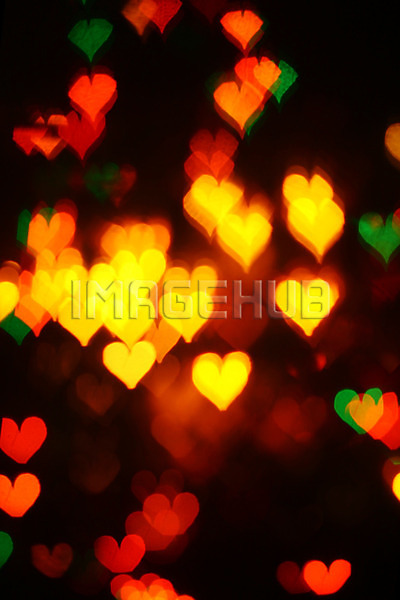 이미지 미리보기