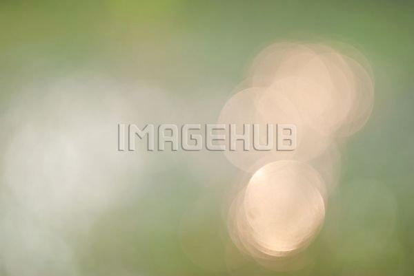 이미지 미리보기